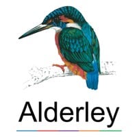 Colorful kingfisher bird perched on branch, vibrant feathers, natural wildlife scene, IVM, Alderley.